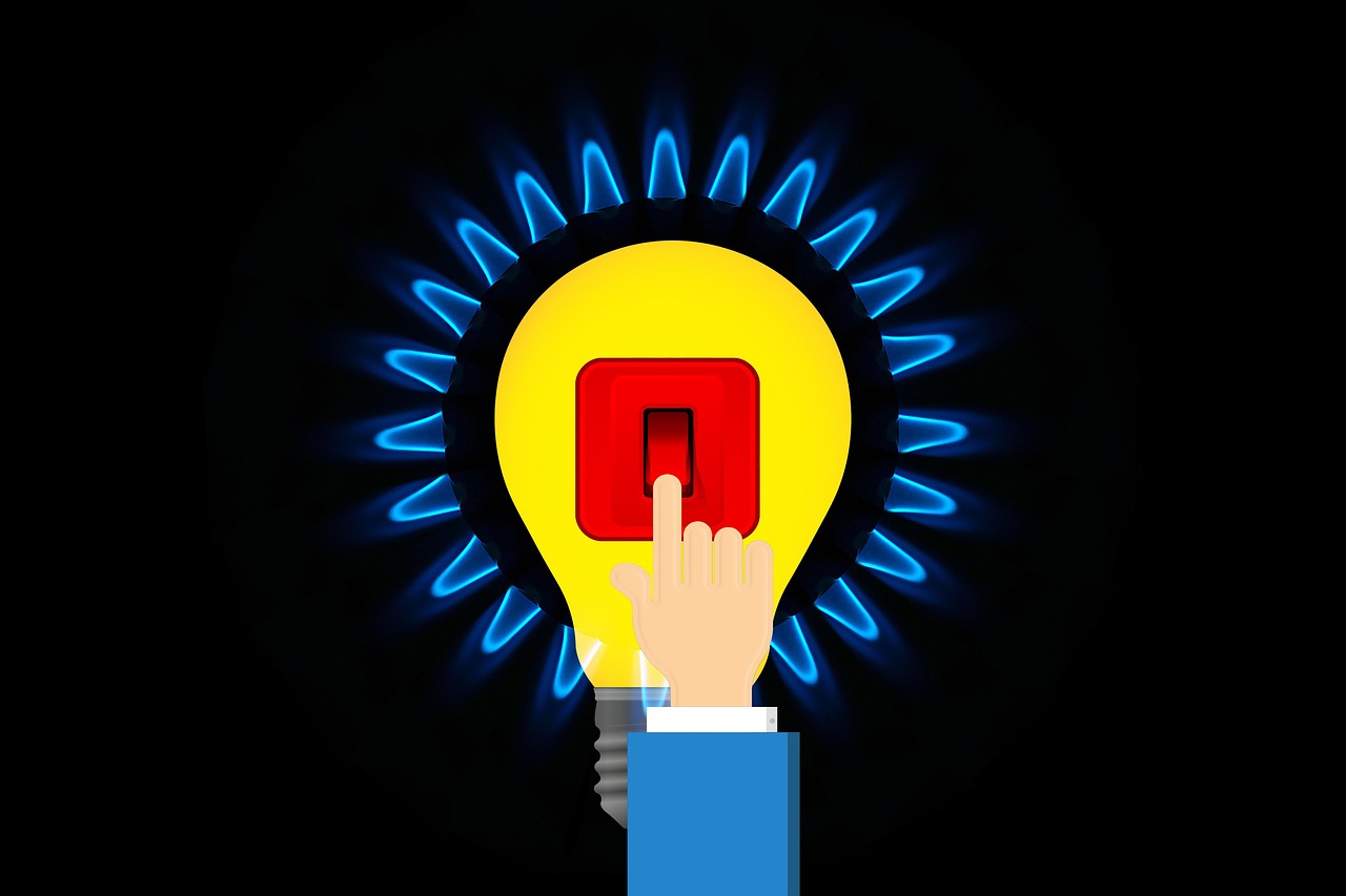 dichiarazione semestrale dogane luce e gas